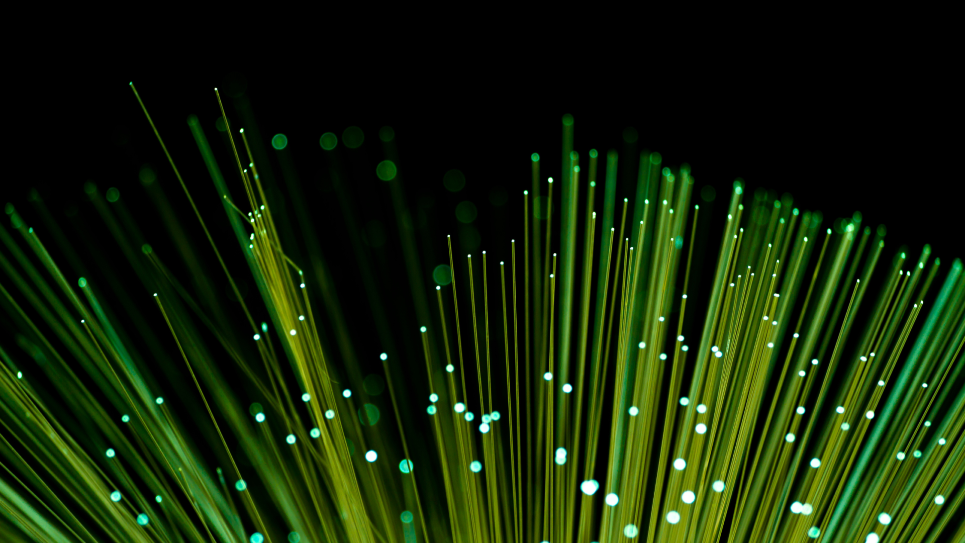 Network - GlasfaserausbauBreitband