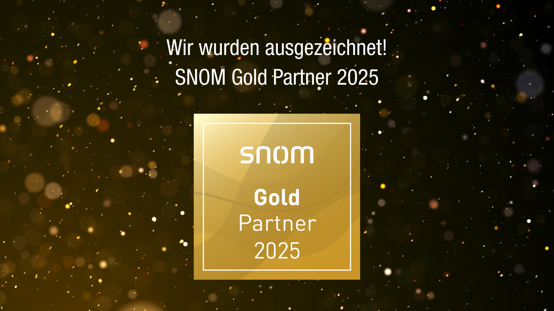 Wir wurden ausgezeichnet! SNOM Gold Partner 2025 (1)